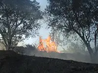 Alifuatpaşa'da yangın korkuttu