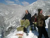 Sakarya çevre ve orman il müdürlüğü doğaya yem bıraktı