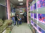 Deniz Akvaryum açıldı