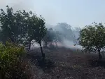 Yangın büyümeden söndürüldü