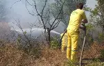 Yangın büyümeden söndürüldü