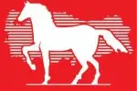 DP Genel Başkanı Geyve'ye geliyor
