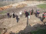 Orman Deposunda Roma Mezarı bulundu