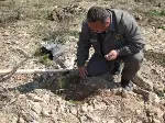 Yangın yerlerine fidan dikiliyor