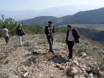 Yangın yerlerine fidan dikiliyor