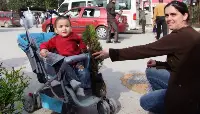 Vatandaşlara Fidan Dağıtıldı…