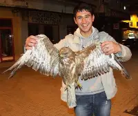 Yaralı Şahin’e Yardım