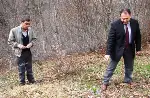 Ormanda kar kırıkları