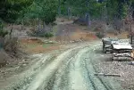 Orman içi yollar geçit vermiyor
