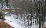 Ormanlarda kar devam ediyor