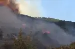 Ciğerlerimiz Yanıyor!