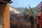Ciğerlerimiz Yanıyor!