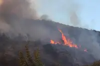 Ciğerlerimiz Yanıyor!