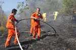 Alifuatpaşa'da Meyve Bahçeleri Yandı