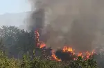Alifuatpaşa'da Meyve Bahçeleri Yandı