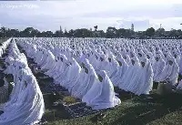 Kur'an Ayı Ramazan ve Arınma