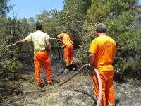Geyve' de Orman Yangını