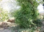 Geyve Boğazı’nda Tarihi Temel ve Burç Kalıntısı
