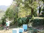Geyve Boğazı’nda Tarihi Temel ve Burç Kalıntısı