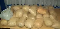41 kilogram Toz Esrar Ele Geçirildi