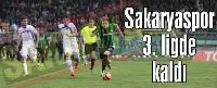Sakaryaspor 3. ligde kaldı