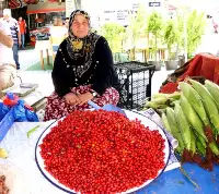 Kızılcık Pazara Çıktı