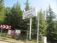 Arifiye İl Ormanı Virane
