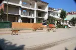 Başıboş Köpekler Vatandaşı Korkutuyor