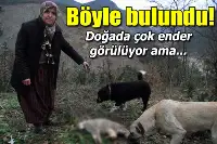 Doğada nadir görülüyordu, patlamada öldü!