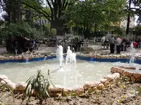 Park, Hizmete Açıldı