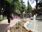 Park, Hizmete Açıldı