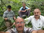 Ihlamur Toplanıyor