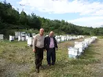 Ayı korkutan sistem