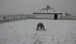 Üşümeyen Efsane Adam'dan Kar Şov!
