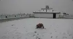 Üşümeyen Efsane Adam'dan Kar Şov!