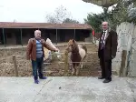 Sağlık Meslek Darıca'yı Gezdi