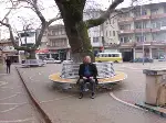 Çınar Ağaçlarının Etrafına Bank Yapıldı