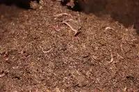 Hobi Amaçlı Başladı Üretim Tesisi Kurdu