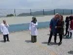Mendil Kapmaca