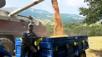 Çay Mahallesi’nde Harman Zamanı