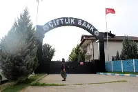 Çiftlik Bank'ın tavukları ve yumurtaları satılıyor