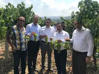 Vali Balkanlıoğlu Geyve'yi Gezdi