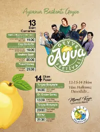 Geyve’yi Festival Coşkusu Sardı