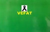 Ülfet Meriç vefat etti