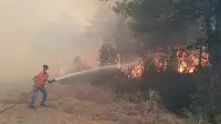 TARAKLI'da YANGIN