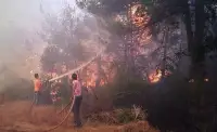 Taraklı'daki yangın kontrol altına alındı