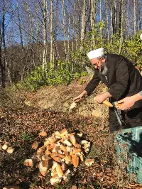 MÜSLÜMAN ÜLKEDE KUŞLAR AÇ KALMAZ