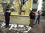 Öğretmen Ahmet Tosun vefat etti