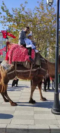 GEYVE’NİN EN NEŞELİ SÜNNET DÜĞÜNÜ