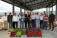 Başkan Yüce'den Safibey Ürün Toplama Merkezine Ziyaret